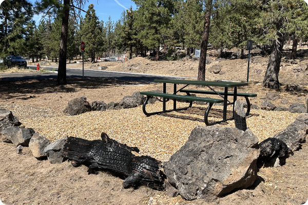 Picnic table in from of Boyle Education center