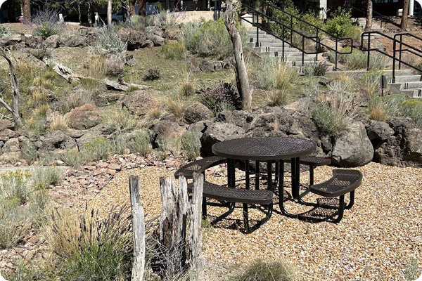 Picnic table outside Health Career Center in a desert landscape