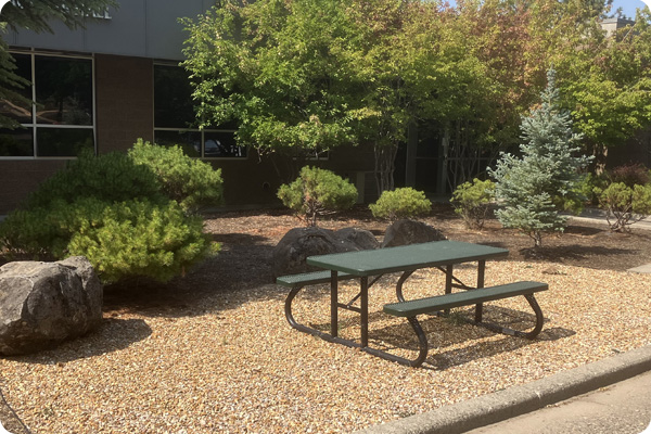 Picnic table outside Cascades Hall