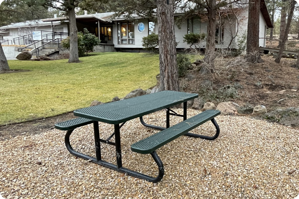 Picnic Table outside Chandler Lab