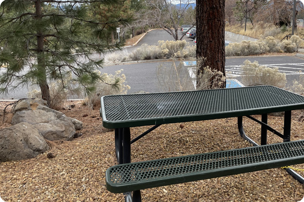Picnic table behind Mazama Gym