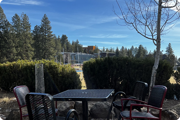 Picnic table with views of the Athletic Field and Coats Campus Center