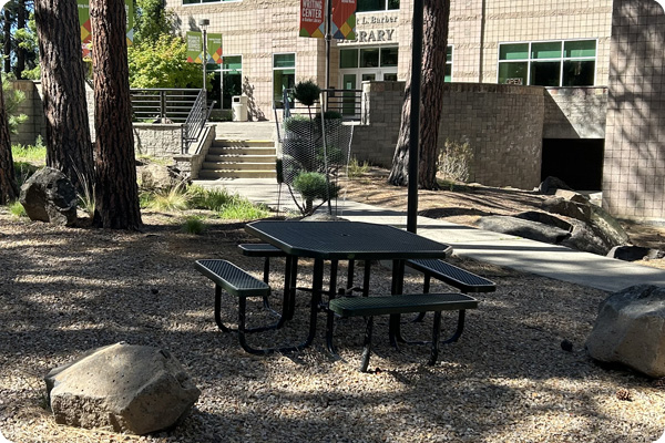 Picnic table in front of Barber Library