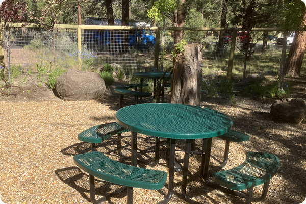 Picnic table in Cascade Garden