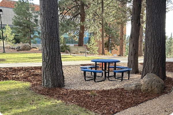 Picnic table outside Metolius Hall