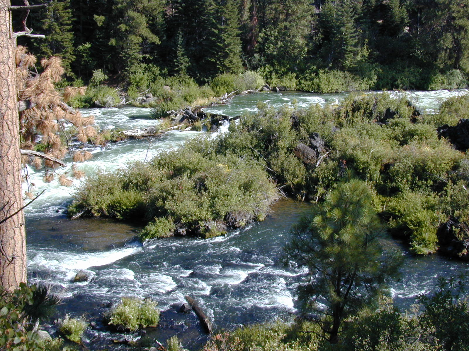 Lava Falls Deschutes River Lava Falls Deschutes River