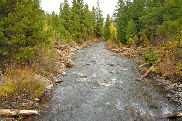 Metolius Watershed