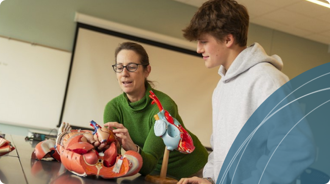 An instructor and student examining a detailed human anatomy model together, smiling and engaged in a classroom setting.