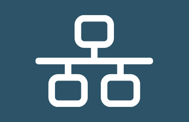 Network icon