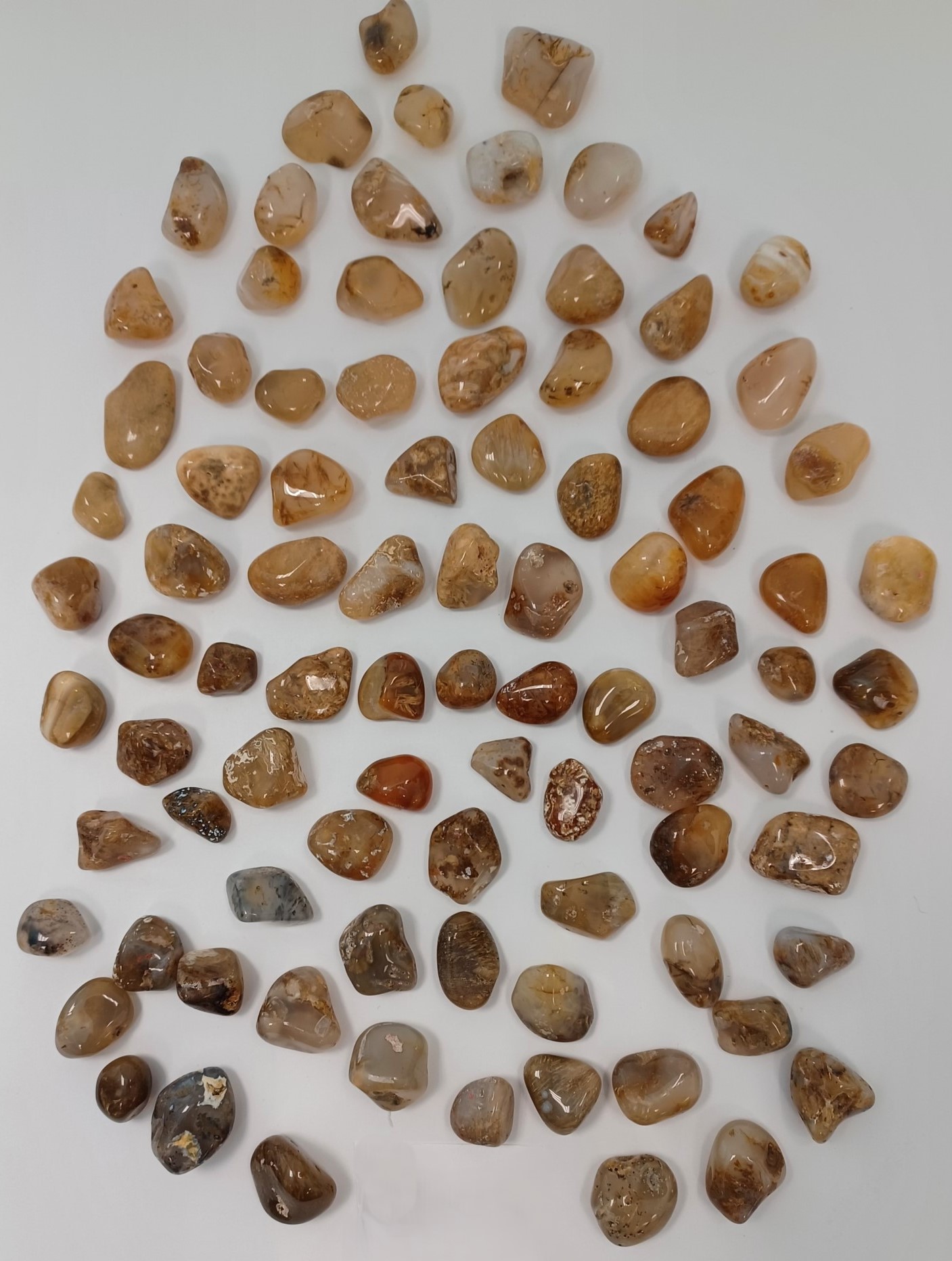 A large number of agate pieces, ranging in color from white to amber to darker brown.