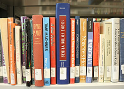 Books on the library shelves