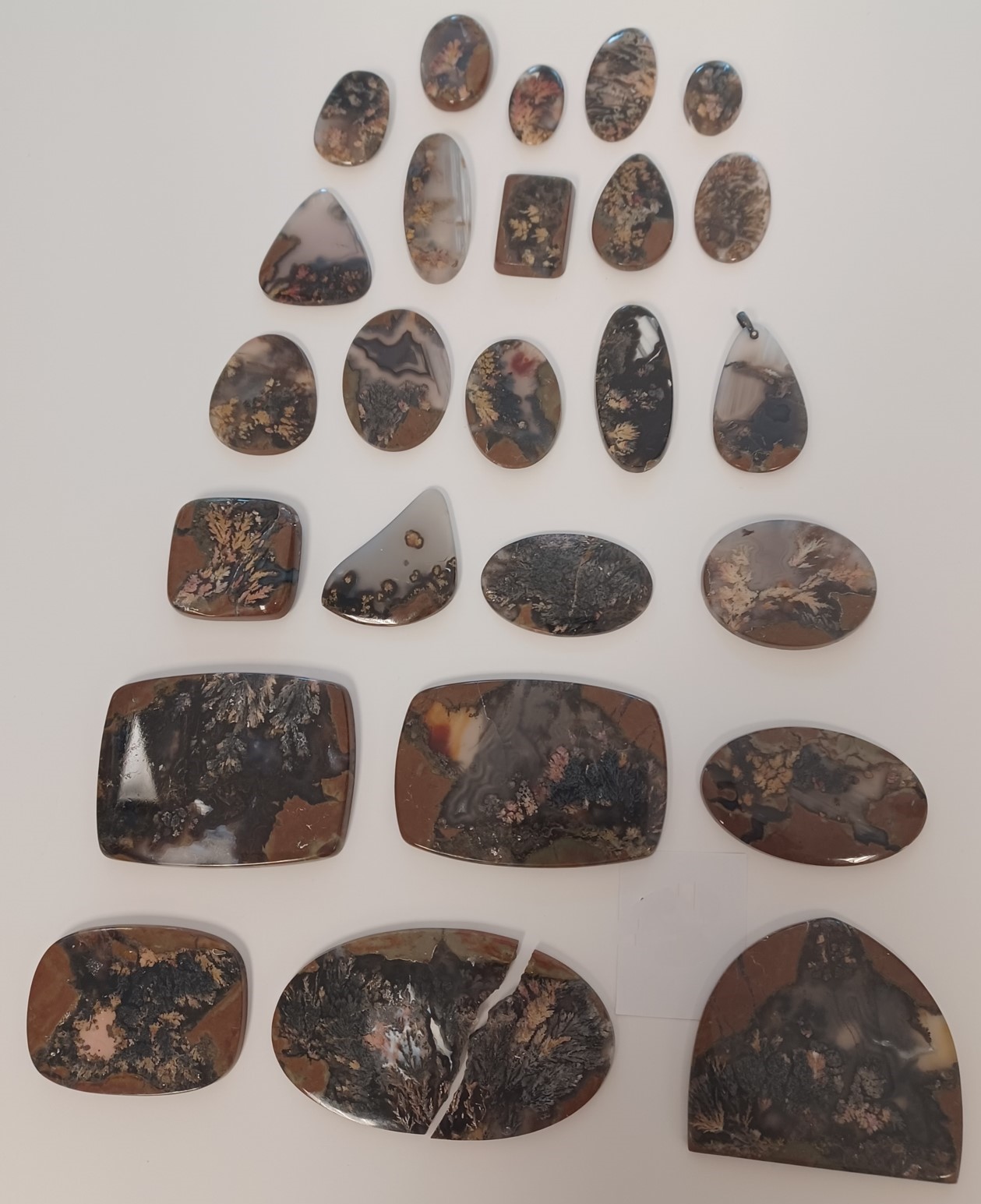Rocks in a variety of shapes and sizes. Plume agates are characterized by inclusions that resemble flames, feathers, flowers, or ferns. 