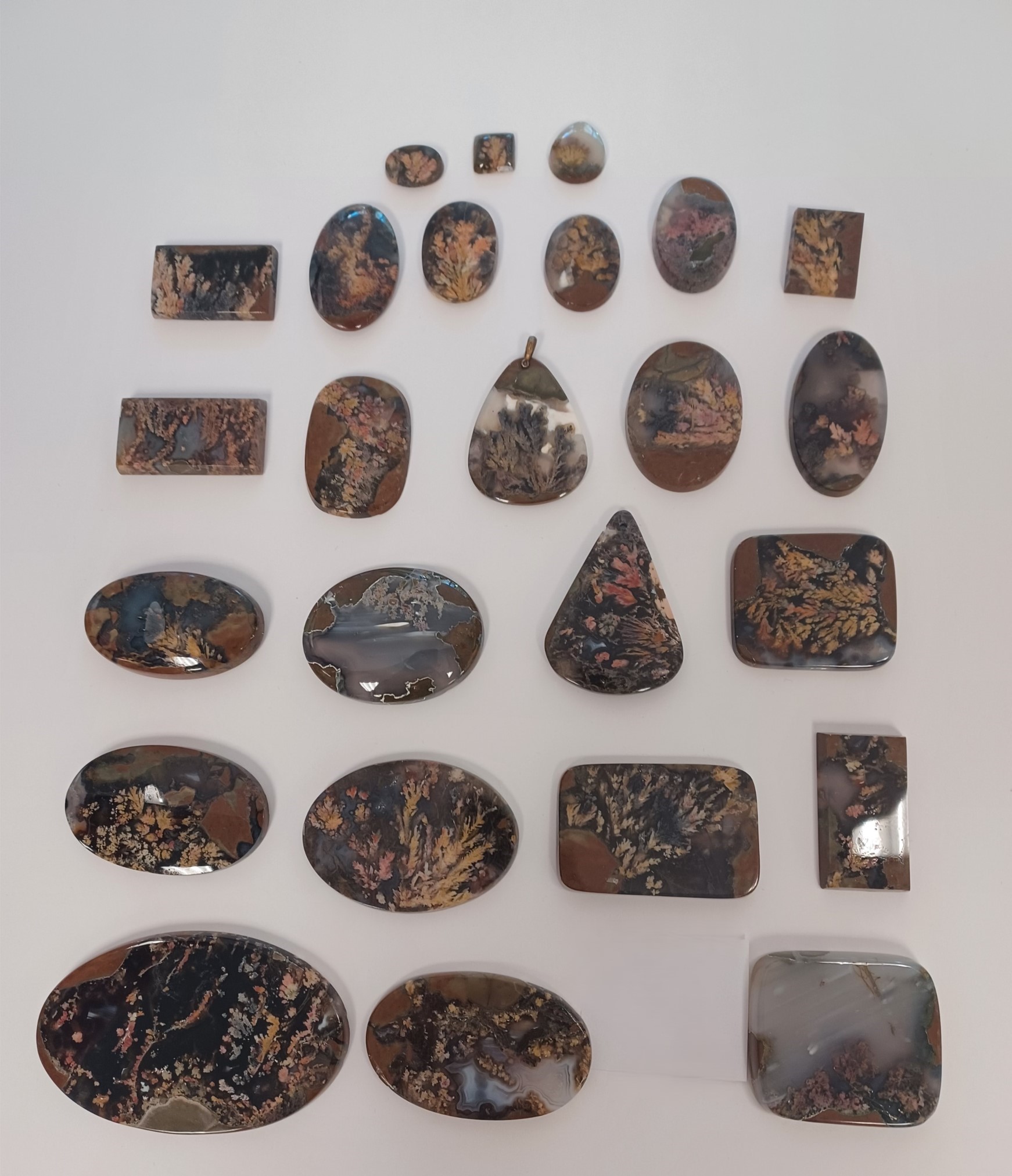 Dark-colored plume agates with red, white, and gold flame-like instrusions. 