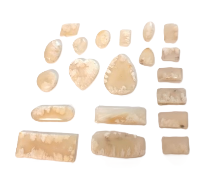 Polished white agate with lacy inclusions. One is heart shaped. Other shapes include rectangular and ovoid.