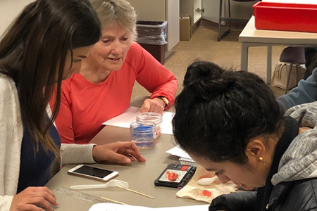 Adult learners studying with instructor