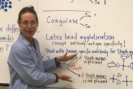 Emma Chaput, Associate Professor of Biology