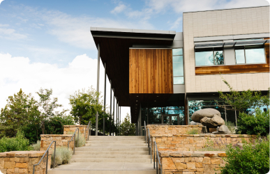 Smiling woman in wheelchair talks with standing woman