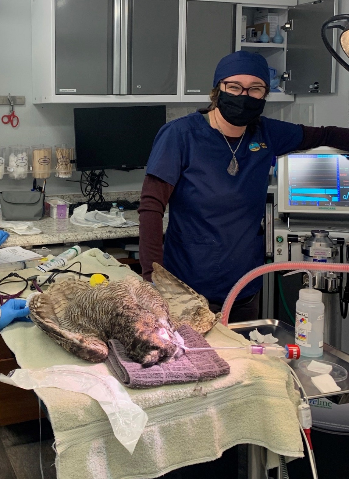 Caroline Read-Mullins