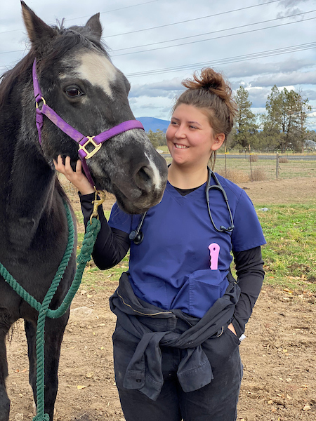 Dog Exam vert Dog Exam