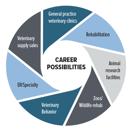General practice veterinary clinics Veterinary specialty, emergency, and university teaching hospitals Animal research facilities Zoos/wildlife rehab/marine mammal centers Veterinary behavior Rehabilitation Veterinary supply sales Diagnostic laboratories Hospice care